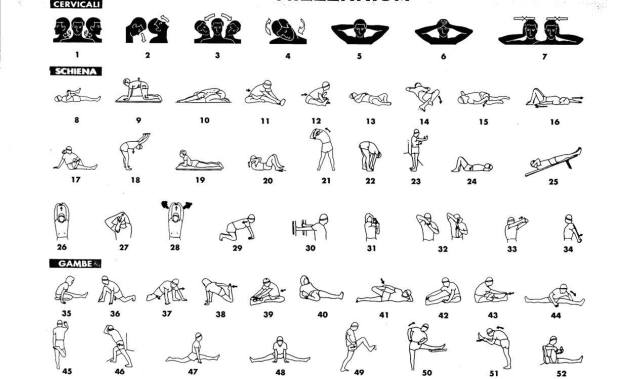 1795143_300404620162348_3067231905185821449_o