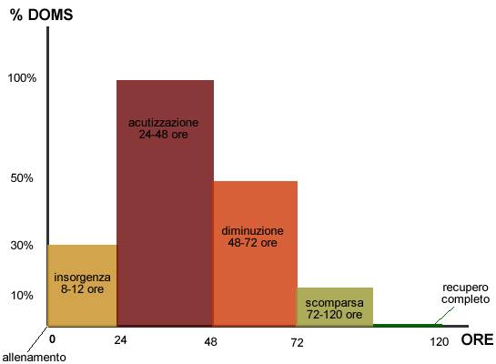 10666011_29HHHN6514230551387_5477659244630823772_n (1)