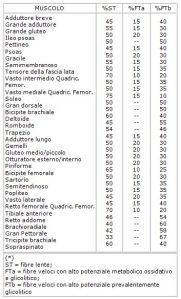 tabmuscoli2