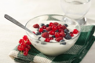 yoghurt with wild berries